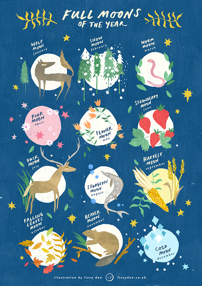 full moons of the year illustration by lizzy doe