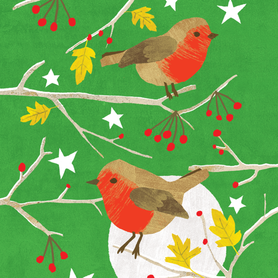 winter robins illustration by lizzy doe