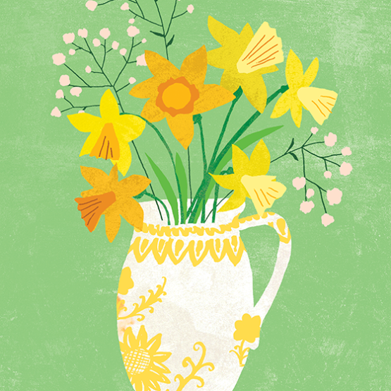 daffodils in a spanish vase illustration by lizzy doe